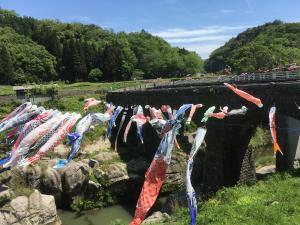 富士見橋の元気に泳ぐこいのぼり